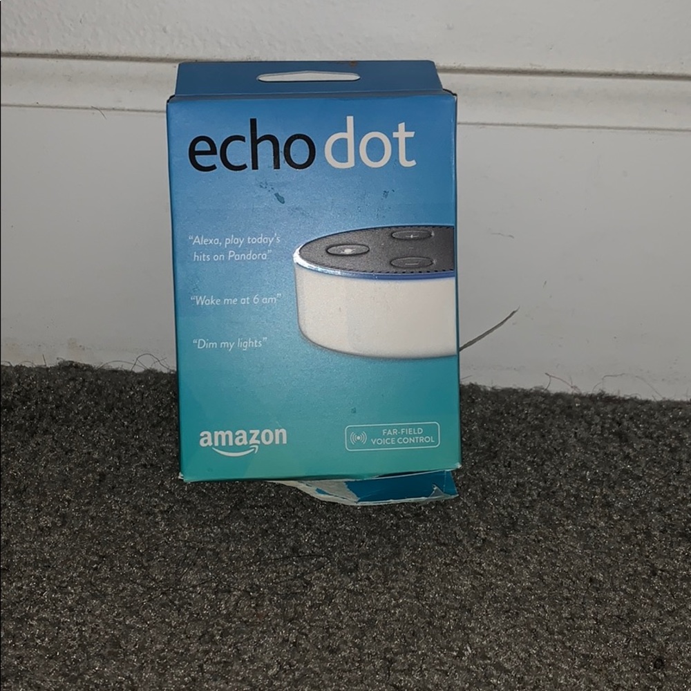 Echo DOT